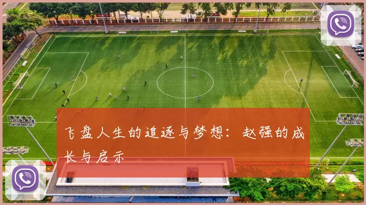 飞盘人生的追逐与梦想：赵强的成长与启示