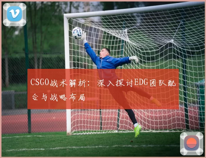 CSGO战术解析：深入探讨EDG团队配合与战略布局