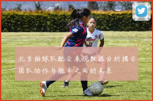 北京排球队配合表现数据分析揭示团队协作与胜率之间的关系