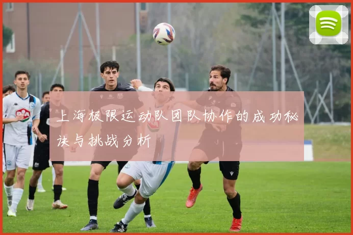 上海极限运动队团队协作的成功秘诀与挑战分析