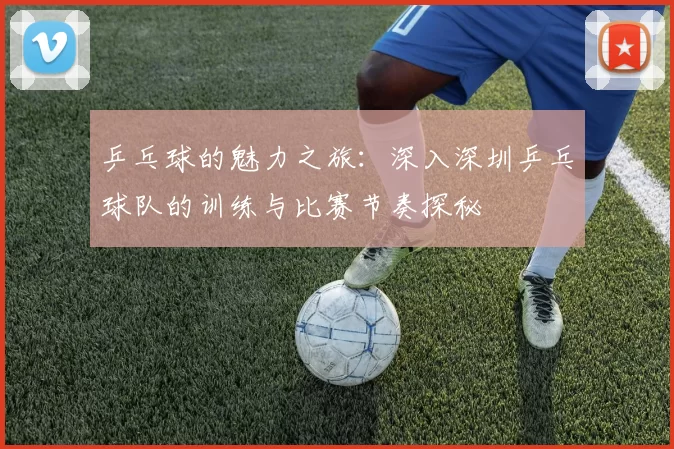 乒乓球的魅力之旅：深入深圳乒乓球队的训练与比赛节奏探秘