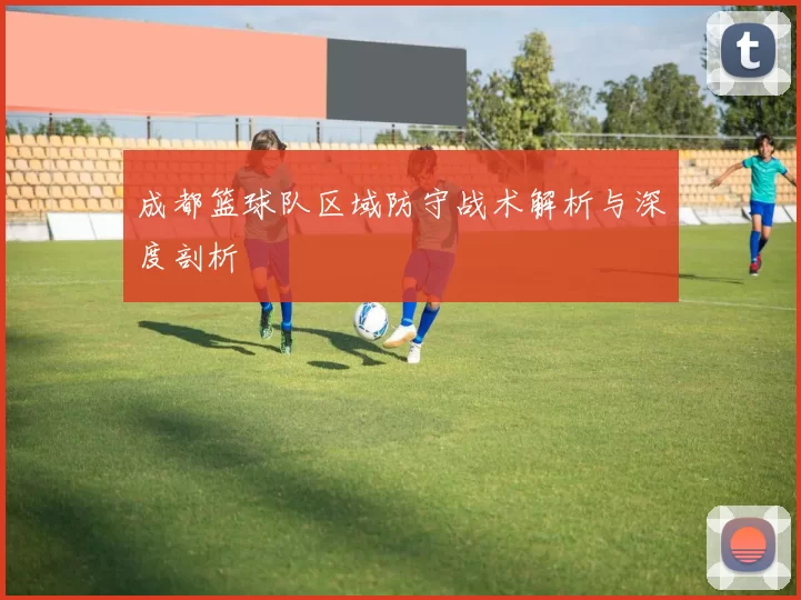 成都篮球队区域防守战术解析与深度剖析