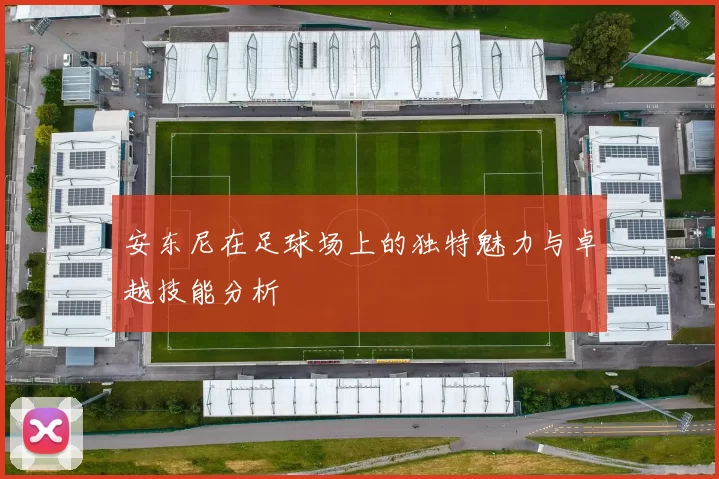 安东尼在足球场上的独特魅力与卓越技能分析