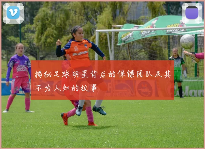 揭秘足球明星背后的保镖团队及其不为人知的故事