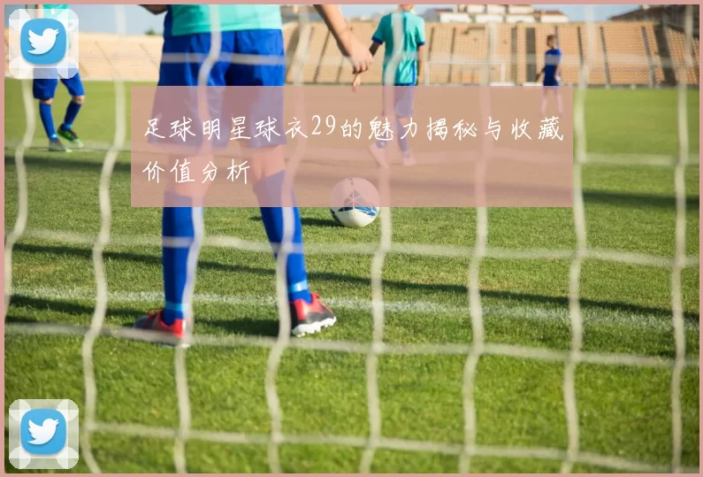 足球明星球衣29的魅力揭秘与收藏价值分析