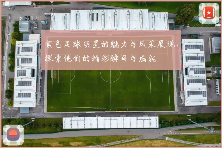 紫色足球明星的魅力与风采展现，探索他们的精彩瞬间与成就