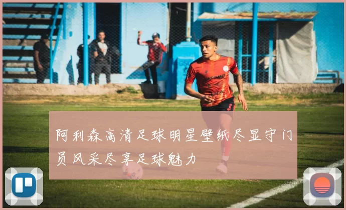 阿利森高清足球明星壁纸尽显守门员风采尽享足球魅力