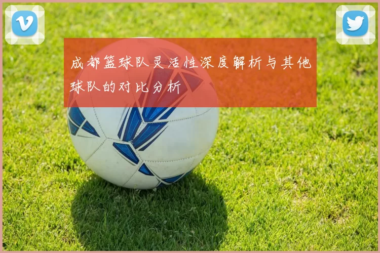 成都篮球队灵活性深度解析与其他球队的对比分析