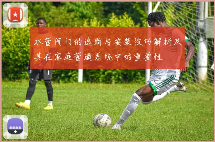 水管阀门的选购与安装技巧解析及其在家庭管道系统中的重要性