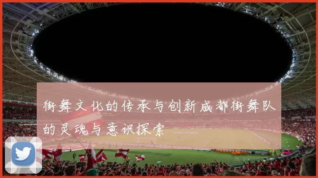 街舞文化的传承与创新成都街舞队的灵魂与意识探索