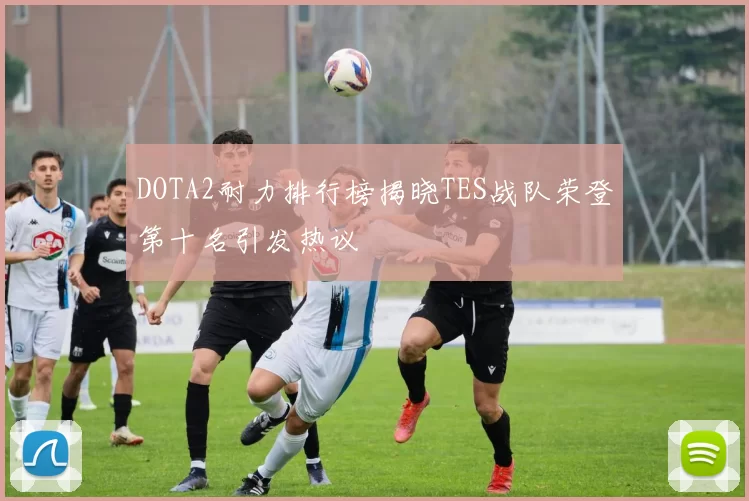 DOTA2耐力排行榜揭晓TES战队荣登第十名引发热议