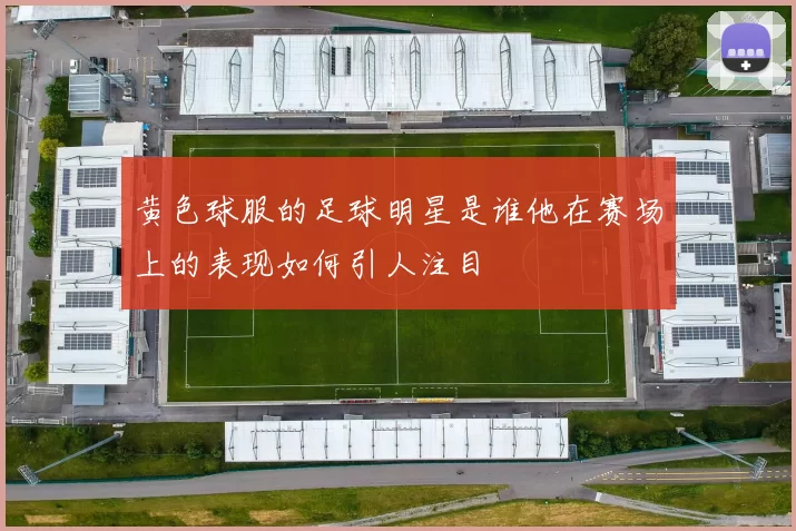 黄色球服的足球明星是谁他在赛场上的表现如何引人注目