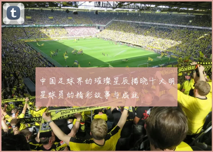 中国足球界的璀璨星辰揭晓十大明星球员的精彩故事与成就