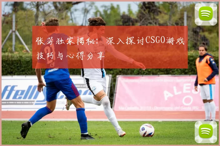 张芳独家揭秘：深入探讨CSGO游戏技巧与心得分享