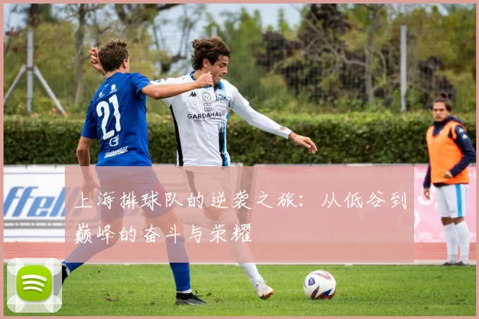 上海排球队的逆袭之旅：从低谷到巅峰的奋斗与荣耀