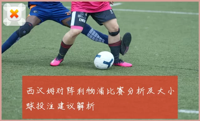 西汉姆对阵利物浦比赛分析及大小球投注建议解析