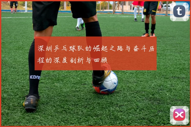 深圳乒乓球队的崛起之路与奋斗历程的深度剖析与回顾