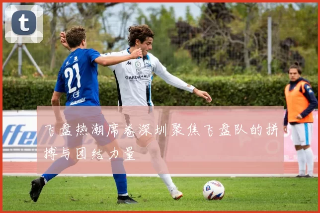 飞盘热潮席卷深圳聚焦飞盘队的拼搏与团结力量