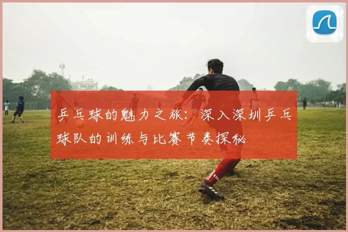 乒乓球的魅力之旅：深入深圳乒乓球队的训练与比赛节奏探秘