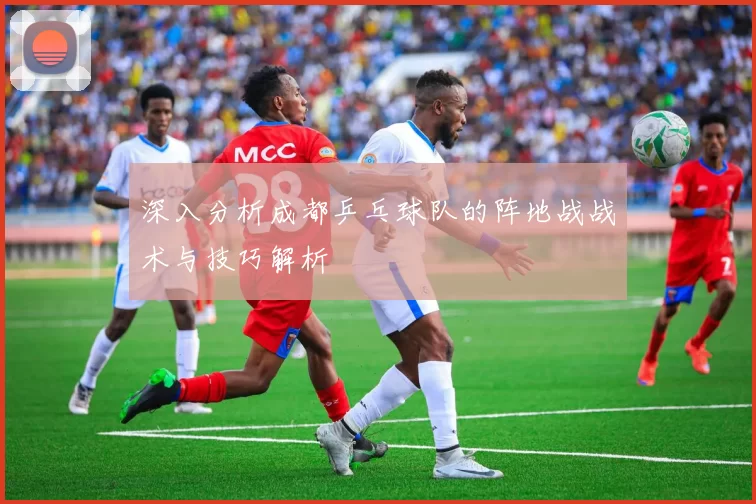 深入分析成都乒乓球队的阵地战战术与技巧解析