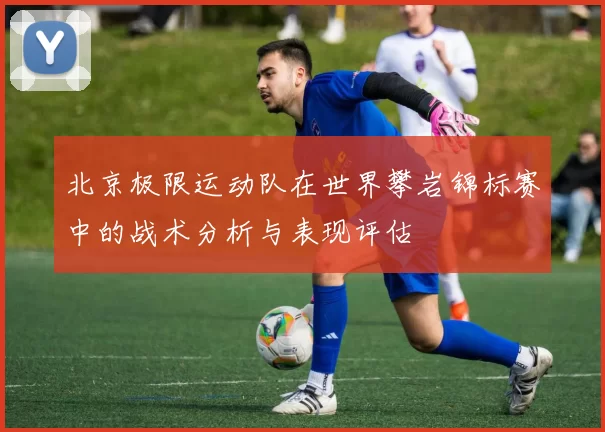 北京极限运动队在世界攀岩锦标赛中的战术分析与表现评估
