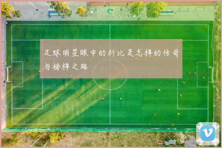 足球明星眼中的科比是怎样的传奇与榜样之路