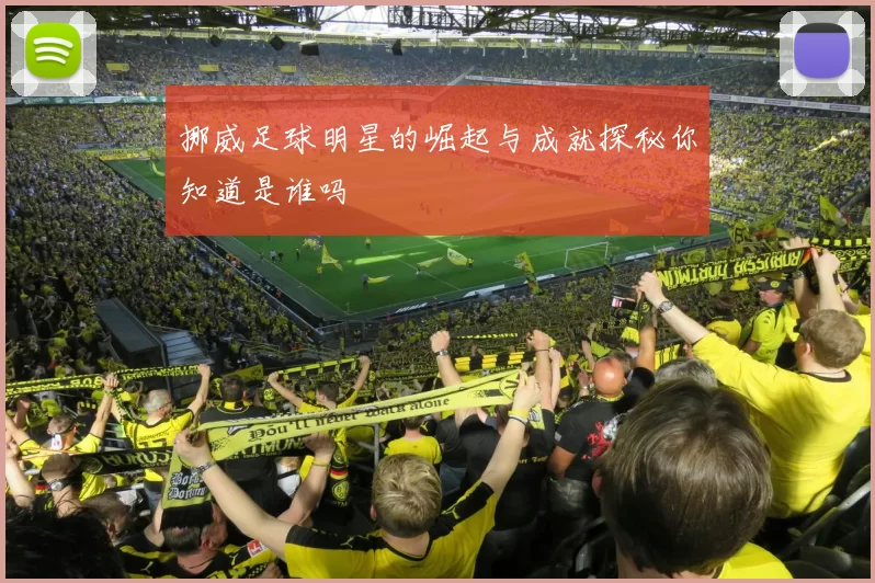 挪威足球明星的崛起与成就探秘你知道是谁吗