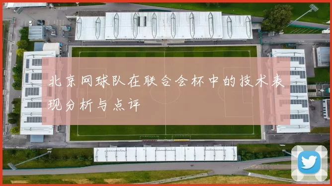 北京网球队在联合会杯中的技术表现分析与点评