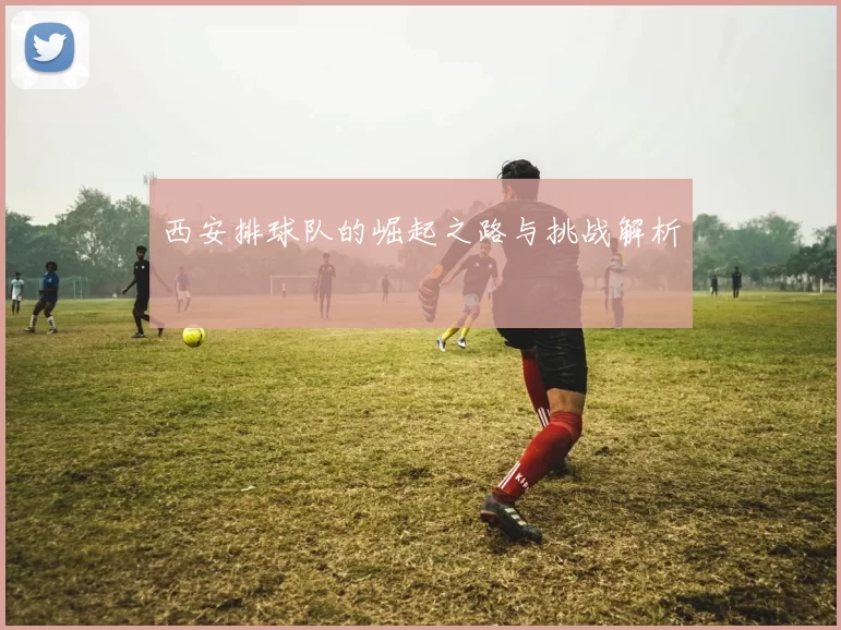 西安排球队的崛起之路与挑战解析