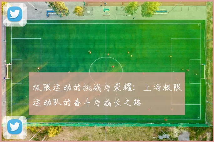 极限运动的挑战与荣耀：上海极限运动队的奋斗与成长之路