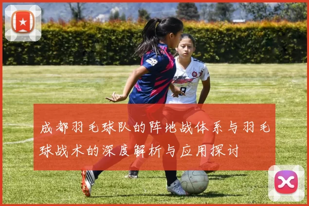 成都羽毛球队的阵地战体系与羽毛球战术的深度解析与应用探讨