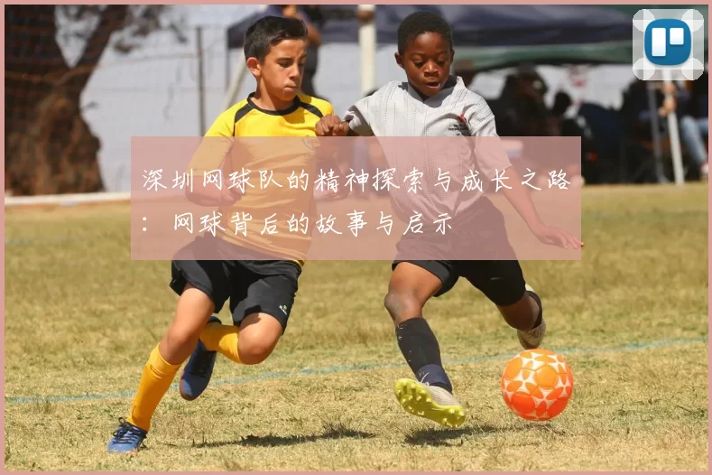 深圳网球队的精神探索与成长之路：网球背后的故事与启示