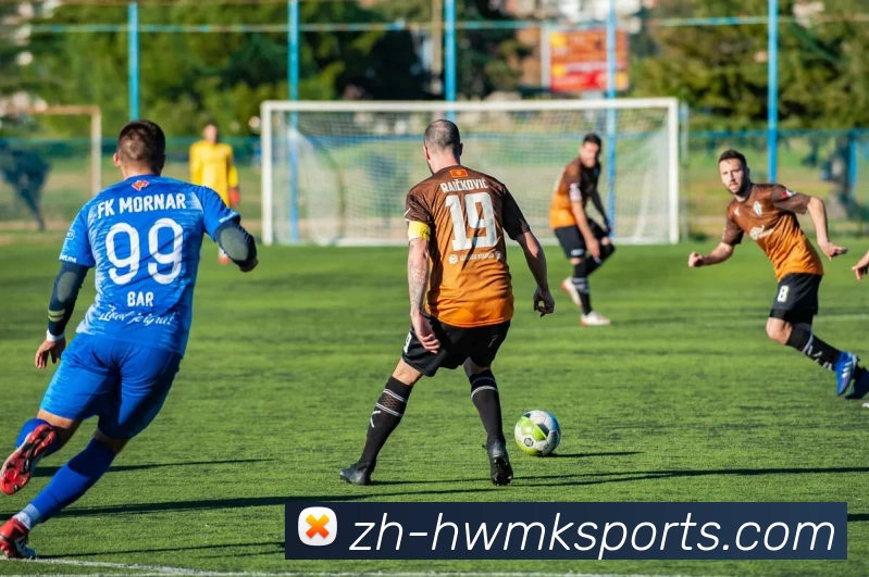 mk体育平台生态图